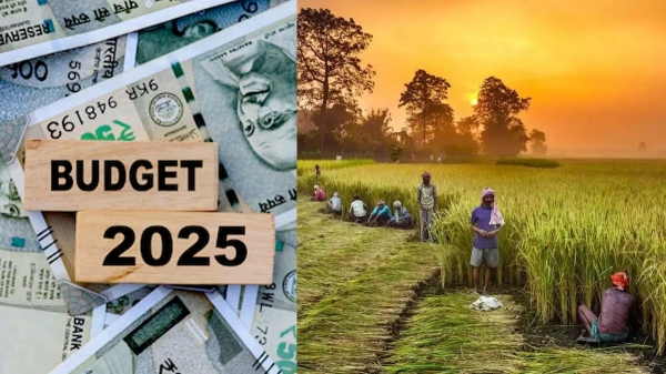 budget 2025 union budget 2025 nirmala sitharaman 2025 2025