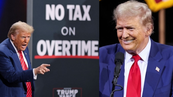 donald trump donald trump