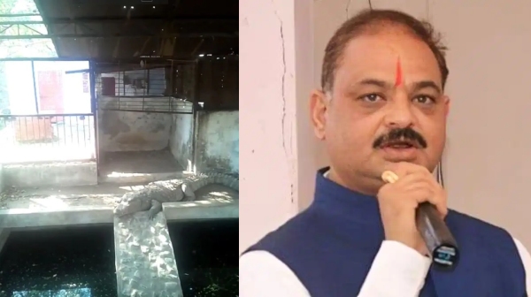 it raid bjp madhya pradesh it raid bjp madhya pradesh