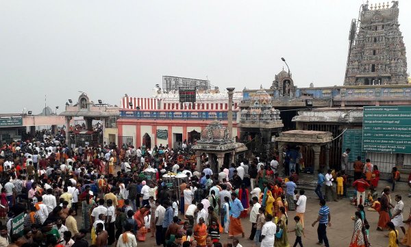 palani murugan temple