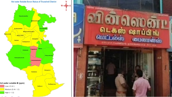 tirunelveli nellai monkey kulla