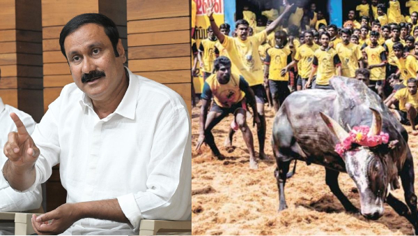 jallikattu jobs anbumani ramadoss jallikattu jobs anbumani ramadoss