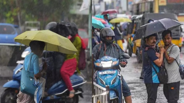 pongal 2025 rain
