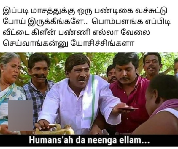 bogi pongal memes