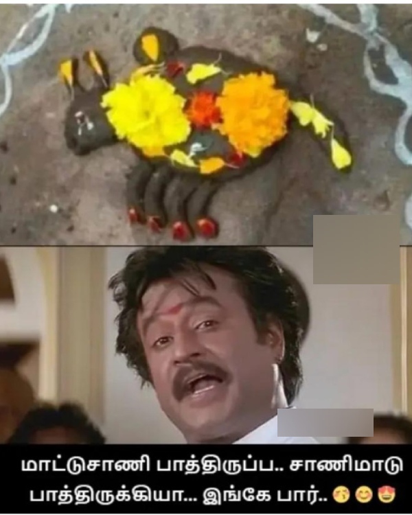 bogi pongal memes bogi pongal memes