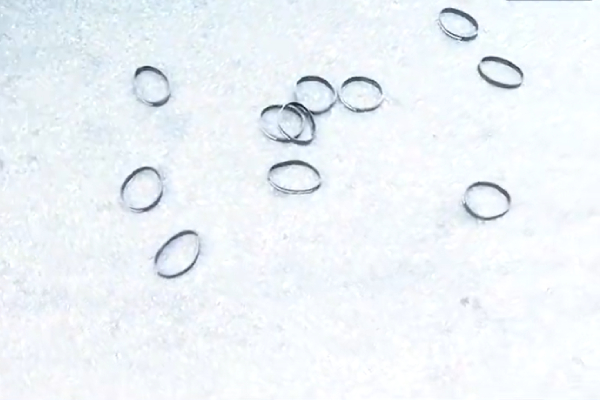 anna university chennai aiadmk