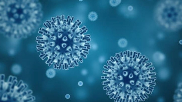 china corona covid 19 china corona covid 19