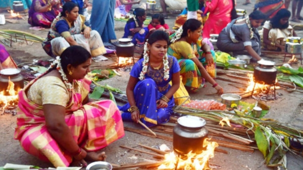 பொங்கல் பண்டிகை கொண்டாட்டம்.. சூரியனை வழிபட்டு பொங்கலோ பொங்கல்! பொங்கல்  வைக்க உகந்த நேரம் இதுதான்! | Tamils Worldwide Celebrate Pongal with  Traditional Fervor and ...