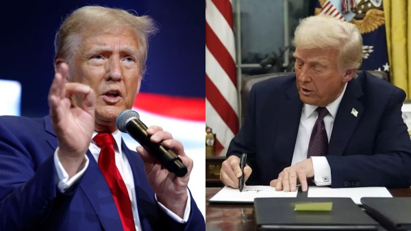donald trump donald trump