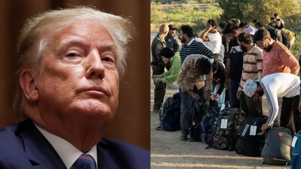 donald trump donald trump