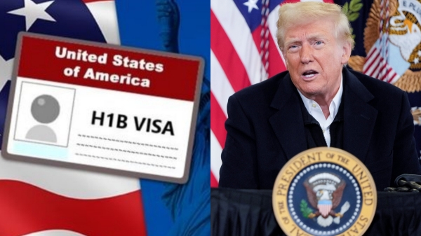 donald trump america india