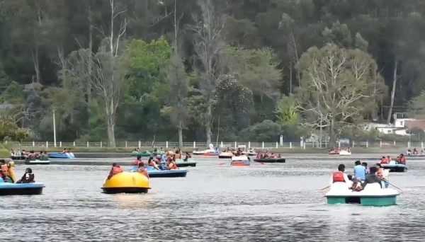 tour kodaikanal new year 2025 tour kodaikanal new year 2025