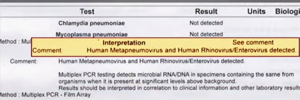 hmpv china hmpv china