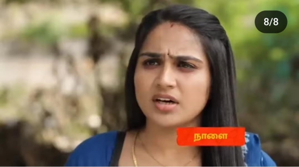 television siragadikka aasai serial vijay tv