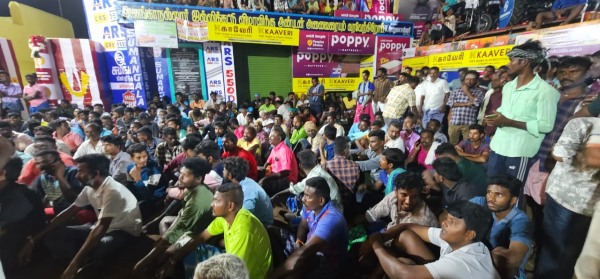 jallikattu 2025 madurai pongal
