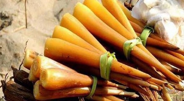 palmyra sprout panangilangu palmyra sprout panangilangu