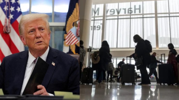 donald trump donald trump