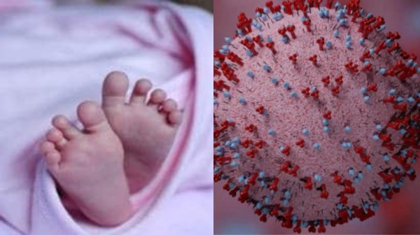 hmpv virus hmpv hmpv virus tamil bangalore hmpv virus hmpv hmpv virus tamil bangalore