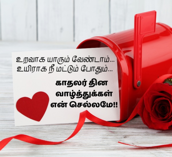 Valentines day Valentines day