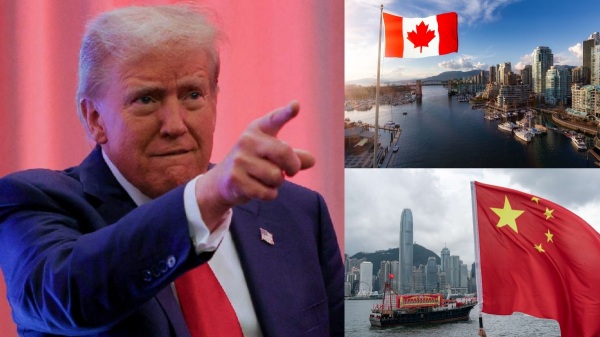 donald trump donald trump
