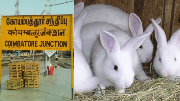 health coimbatore