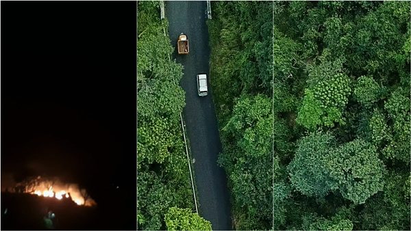 Forest fire breaks out in the middle of the night in the forests near the Shiva temple in Sirumalai Dindigul Forest fire breaks out in the middle of the night in the forests near the Shiva temple in Sirumalai Dindigul
