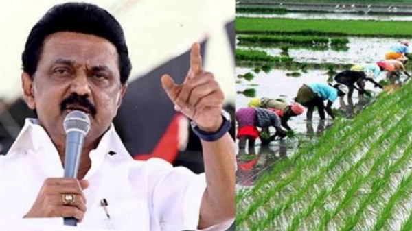 tamil nadu Stalin tamil nadu Stalin