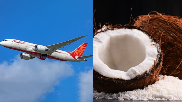 flight indigo food