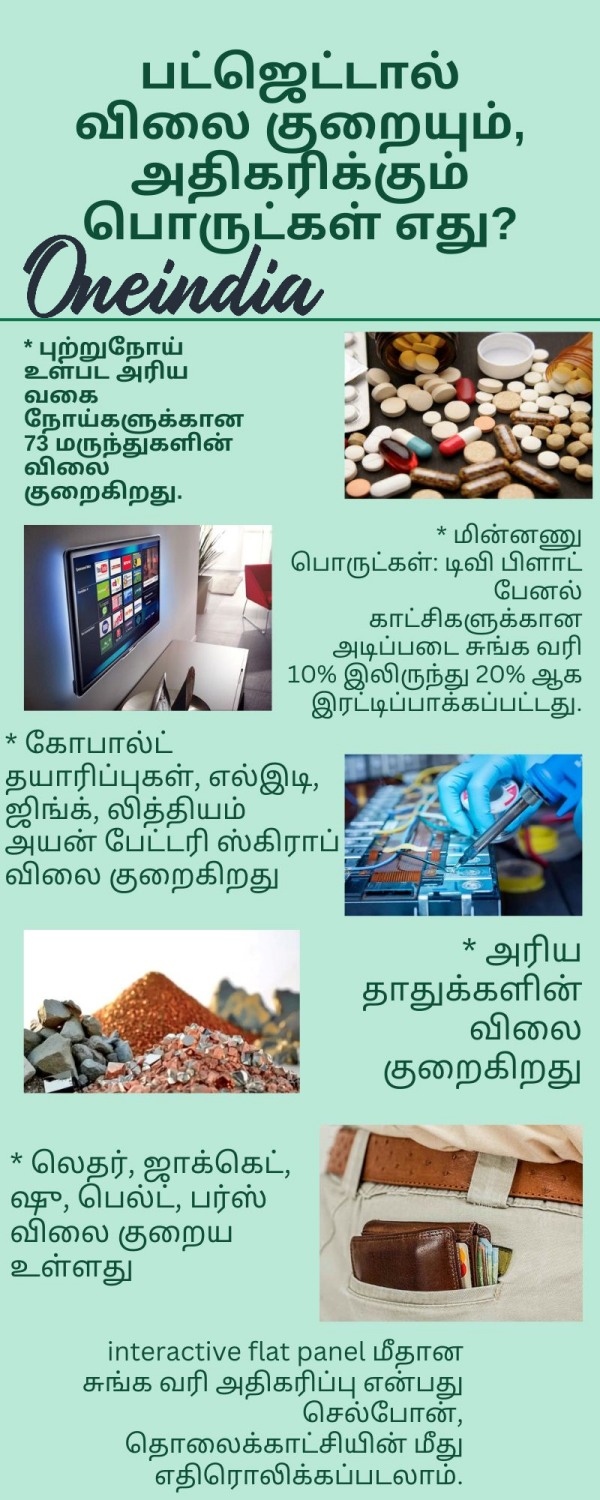 budget 2025 union budget 2025 nirmala sitharaman 2025 2025