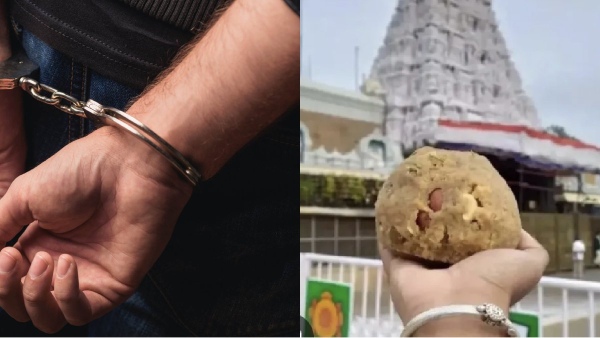 tirupati laddu row andhra pradesh ar dairy tirupati laddu row andhra pradesh ar dairy