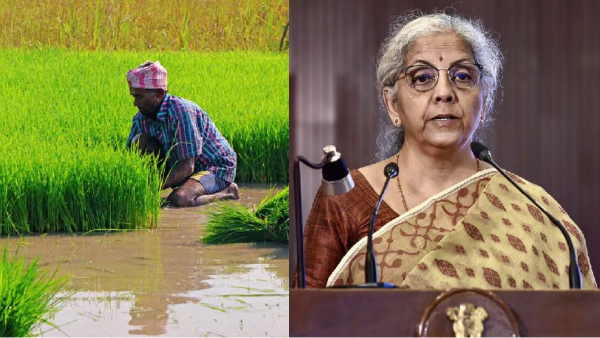 budget 2025 budget nirmala sitharaman 2025 2025 budget 2025 budget nirmala sitharaman 2025 2025