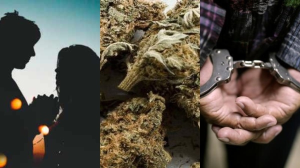 Nilgiris Ganja crime Nilgiris Ganja crime