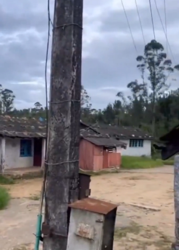 Tirunelveli Manjolai nellai Tirunelveli Manjolai nellai