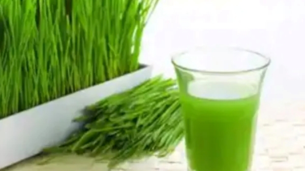 Arugampul Juice scutch grass alice Kidney stone Arugampul Juice scutch grass alice Kidney stone