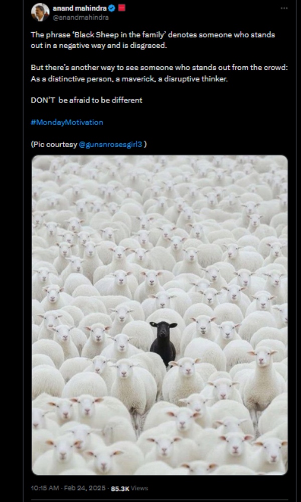 Anand Mahindra Mumbai trend