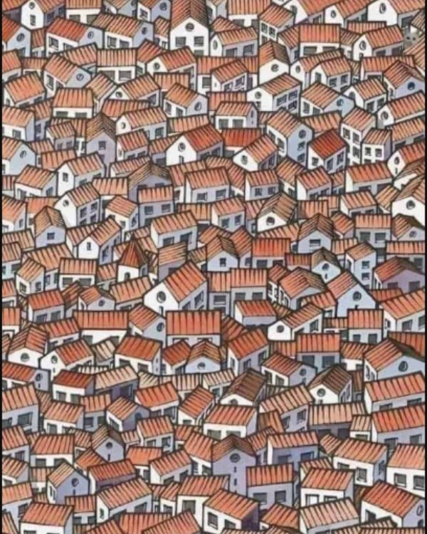 optical illusion offbeat trend
