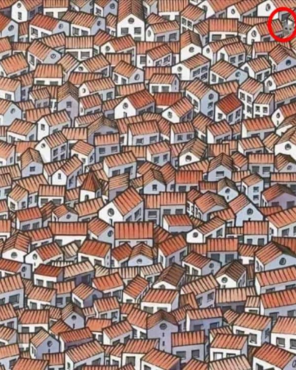 optical illusion offbeat trend