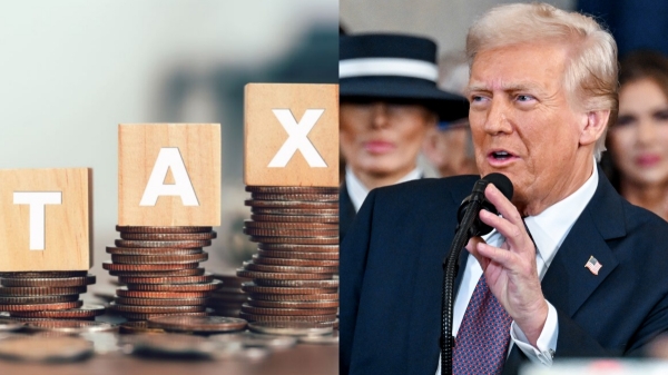 donald trump us india business