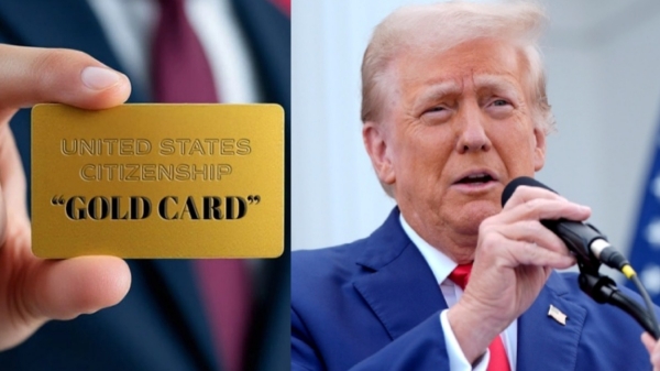 donald trump Gold Card