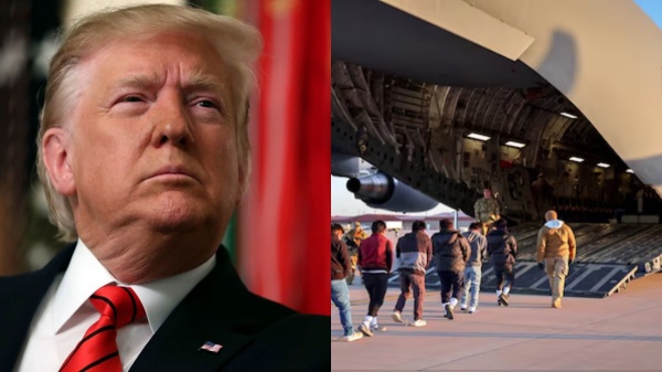 usa donald trump visa