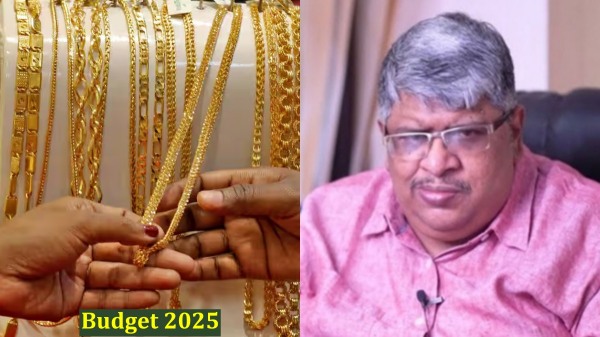 budget 2025 anand srinivasan gold 2025