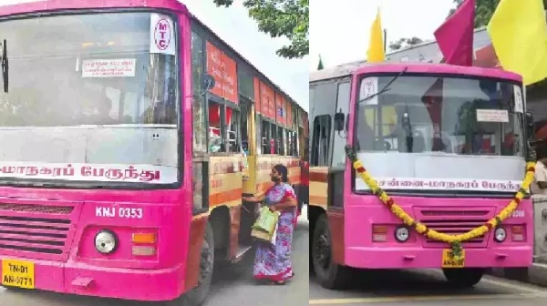 bus