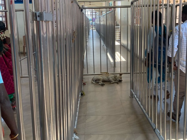 Trichy Samayapuram Mariamman Temple