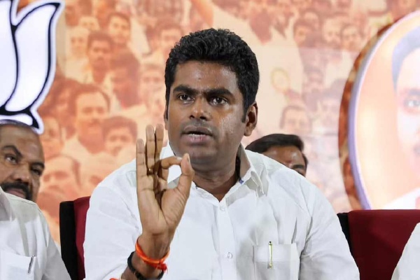 budget 2025 nirmala sitharaman annamalai 2025