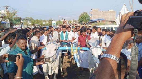 Theni bullock cart Ellai race Chinnamanur Theni bullock cart Ellai race Chinnamanur