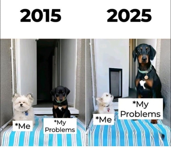 money salary memes