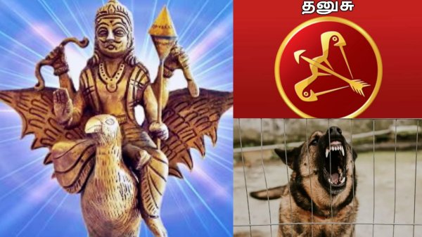 Sani peyarchi Dhanusu