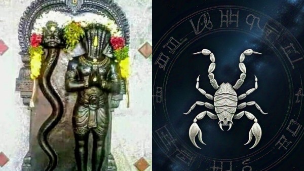 Rahu ketu peyarchi Viruchigam Astrology