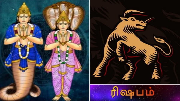 Rahu ketu peyarchi Rishabam Astrology