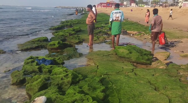 tiruchendur murugan temple spirituality tiruchendur murugan temple spirituality